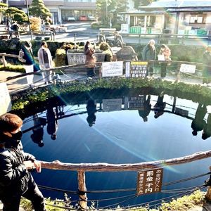 ほうとう富士の茶屋ホウトウフジノチャヤ富士吉田市山梨のグルメPORTA