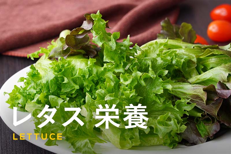 レタスの食物繊維は少ない！ なぜ食物繊維が多い野菜の代表格に？九州まーめん 大豆麺公式サイト