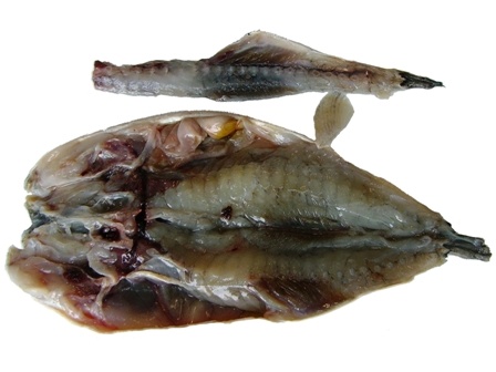 三枚下ろしと中骨取り開き加工