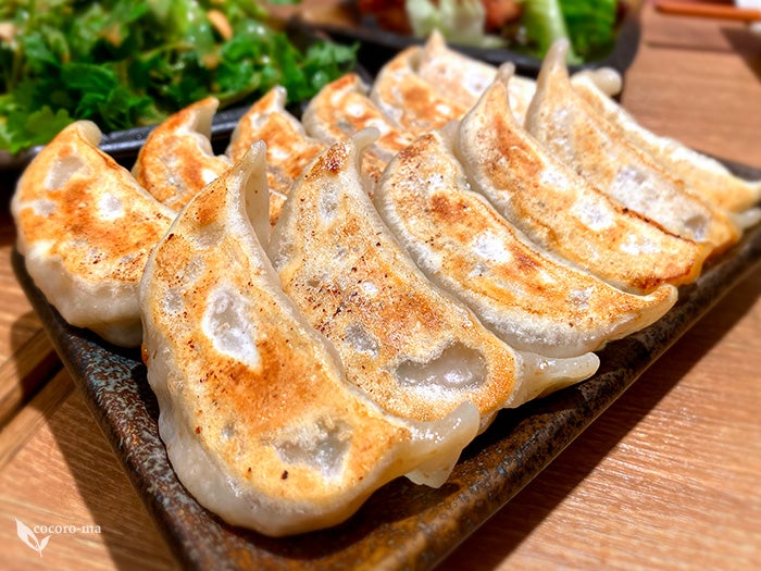 昨日はダンダダン酒場さんへ 餃子にパクチーサラダに 新メニューに馬刺しに 馬レバー頂きました。ひばりヶ丘 居酒屋 餃子 パクチーパクチーサラダ 油淋鶏 ビールbeer 馬刺し 馬レバー ホッピーhoppy 山くらげ ダンダダンダンダダン酒場