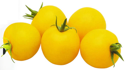 黄色プチトマトミニトマトの仕入・販売ならインフォマート