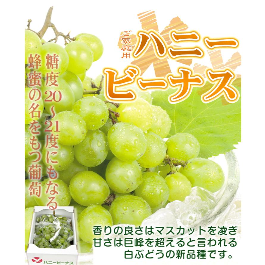 東京の子連れにおすすめなカラオケ店15選！キッズルームやファミリールームありも子連れのおでかけ・子どもの遊び場探しならコモリブ