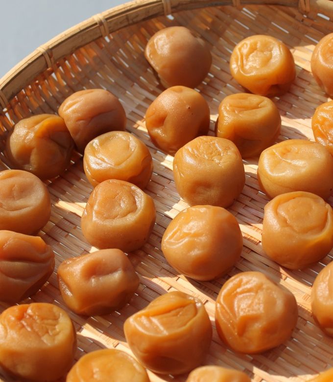 これはカビですか?梅シロップ用にハチミツで漬けていた梅のシロップからでていた部- Yahoo!知恵袋