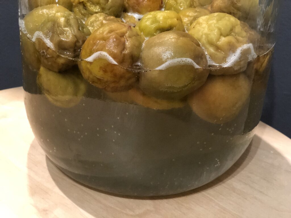 梅干しにカビが生えた時の対処法は?原因・見分け方・作り方もおさらいしよう梅干し通販店 五代庵