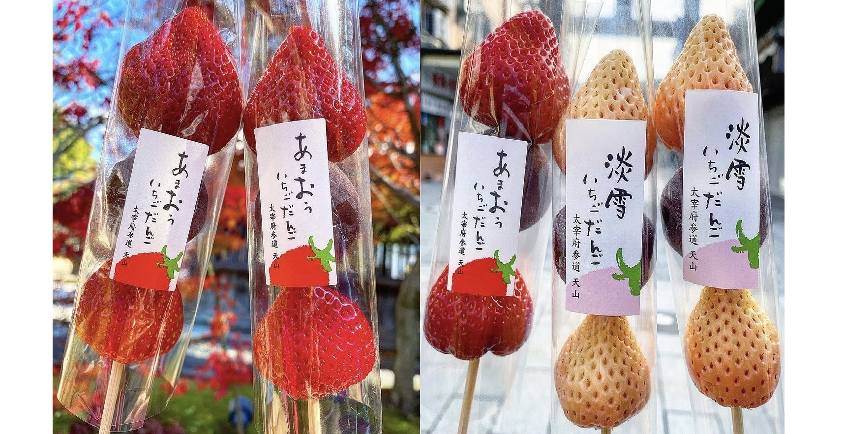 太宰府で超話題！贅沢な「あまおういちごだんご＆大福」