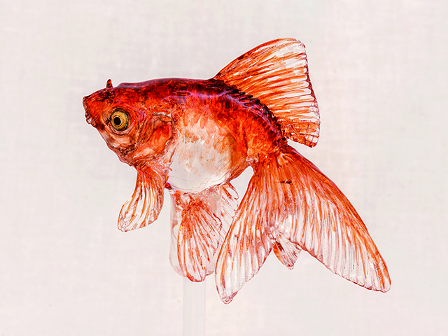 飴細工の専門店｢浅草 飴細工 アメシン｣ 東京スカイツリータウンThe Tokyo Skytree Explorer