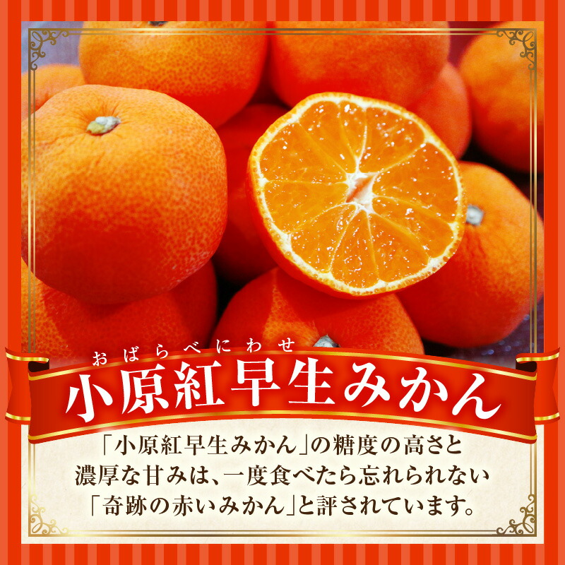 季節 の 果物 9 月 通販 - ディノス