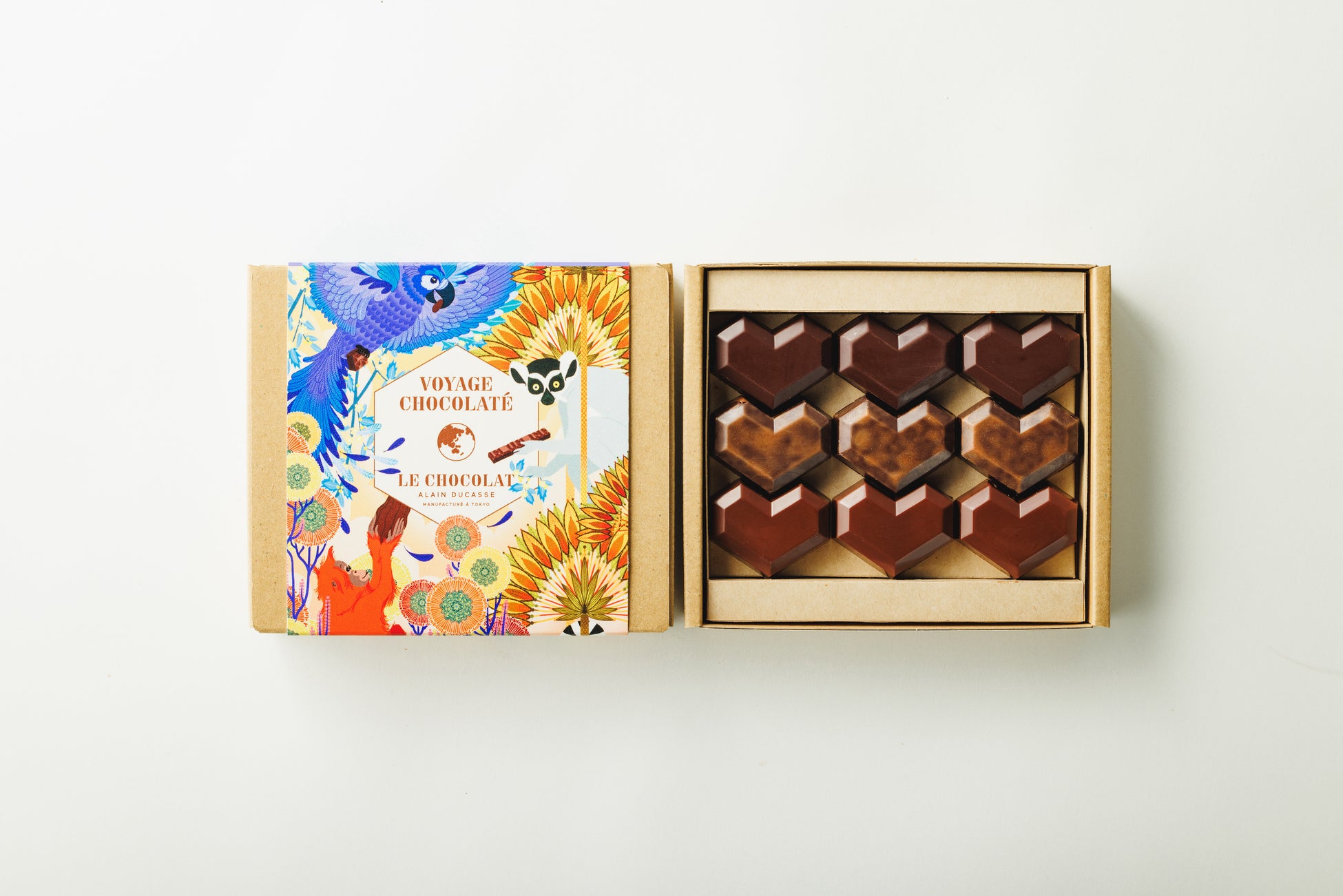 2024バレンタイン ル・ショコラ・アラン・デュカスのマカロンそらまめのブログ