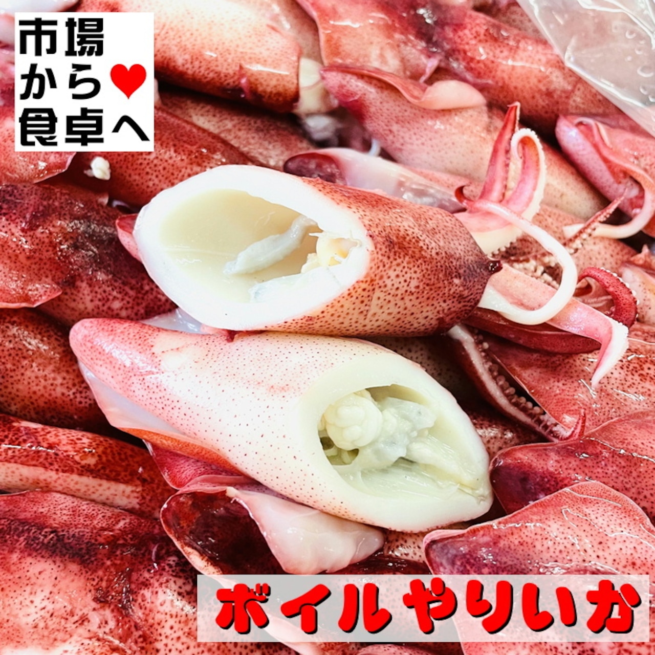 ヤリイカ ボイルの仕方TikTok