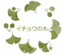イチョウの葉綺麗な時期に収穫し、乾燥させて飾り用に保管しています。レストランチッチ 公式 那須野菜のコース料理