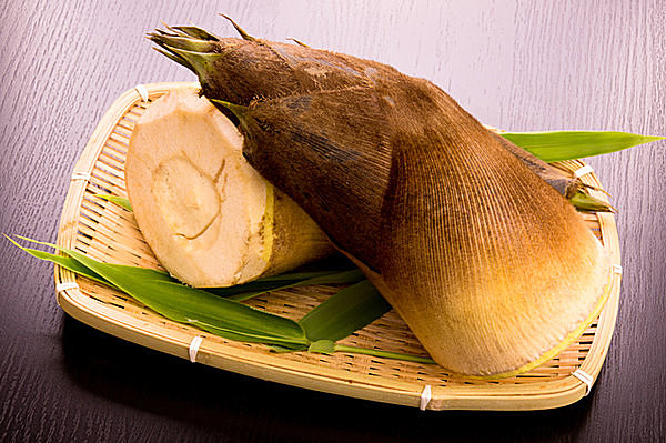 たけのこが腐ったかの見分け方。においはどうなる？保存法も紹介 - 銀の風