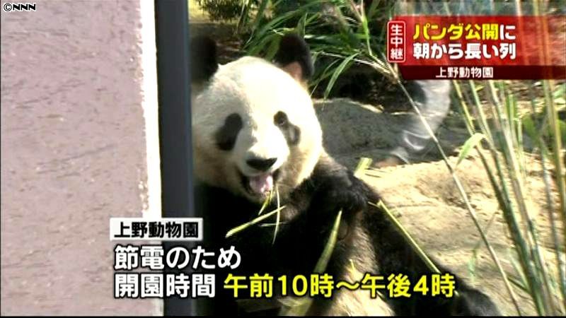 上野動物園 | アメリカ駐在生活