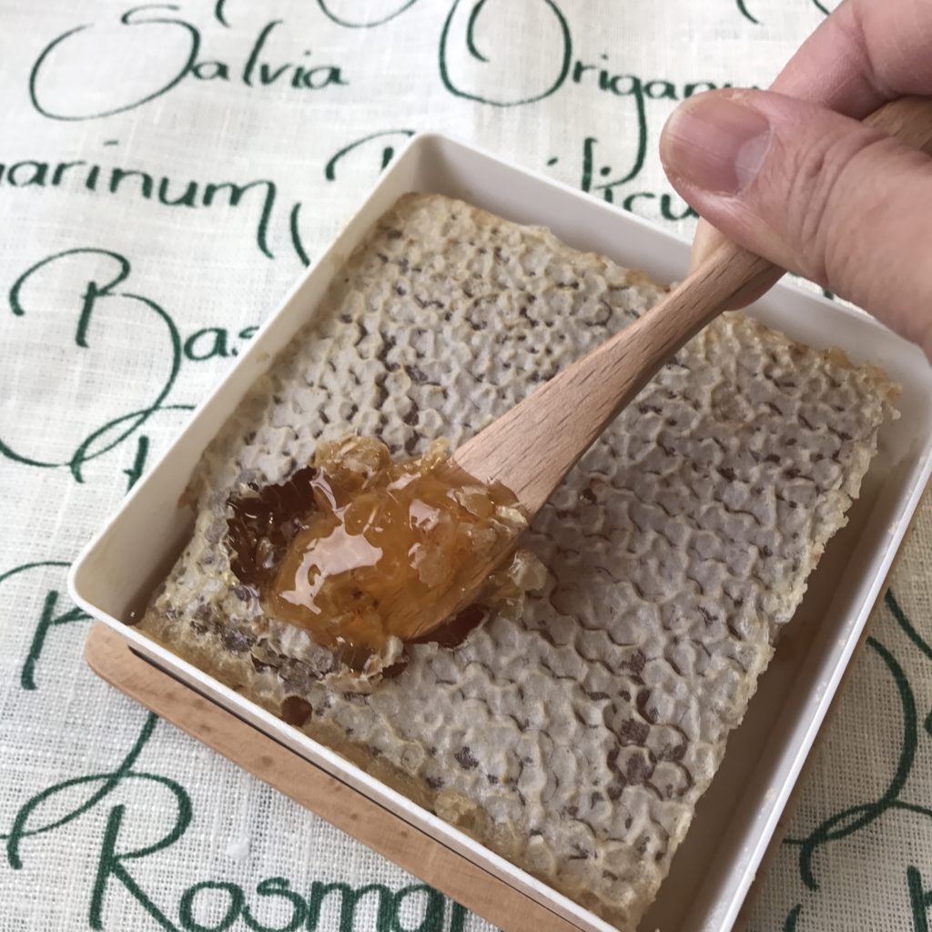 「玉ねぎハチミツマリネ」レシピ 堤 人美さん