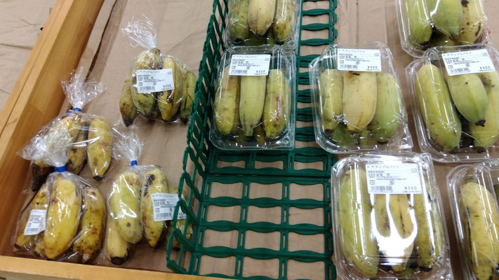 野菜バナナ 約4kg ☆天ぷらでも美味しい☆沖縄バナナ : 沖縄市場たま青果 - 通販 - Yahoo!ショッピング