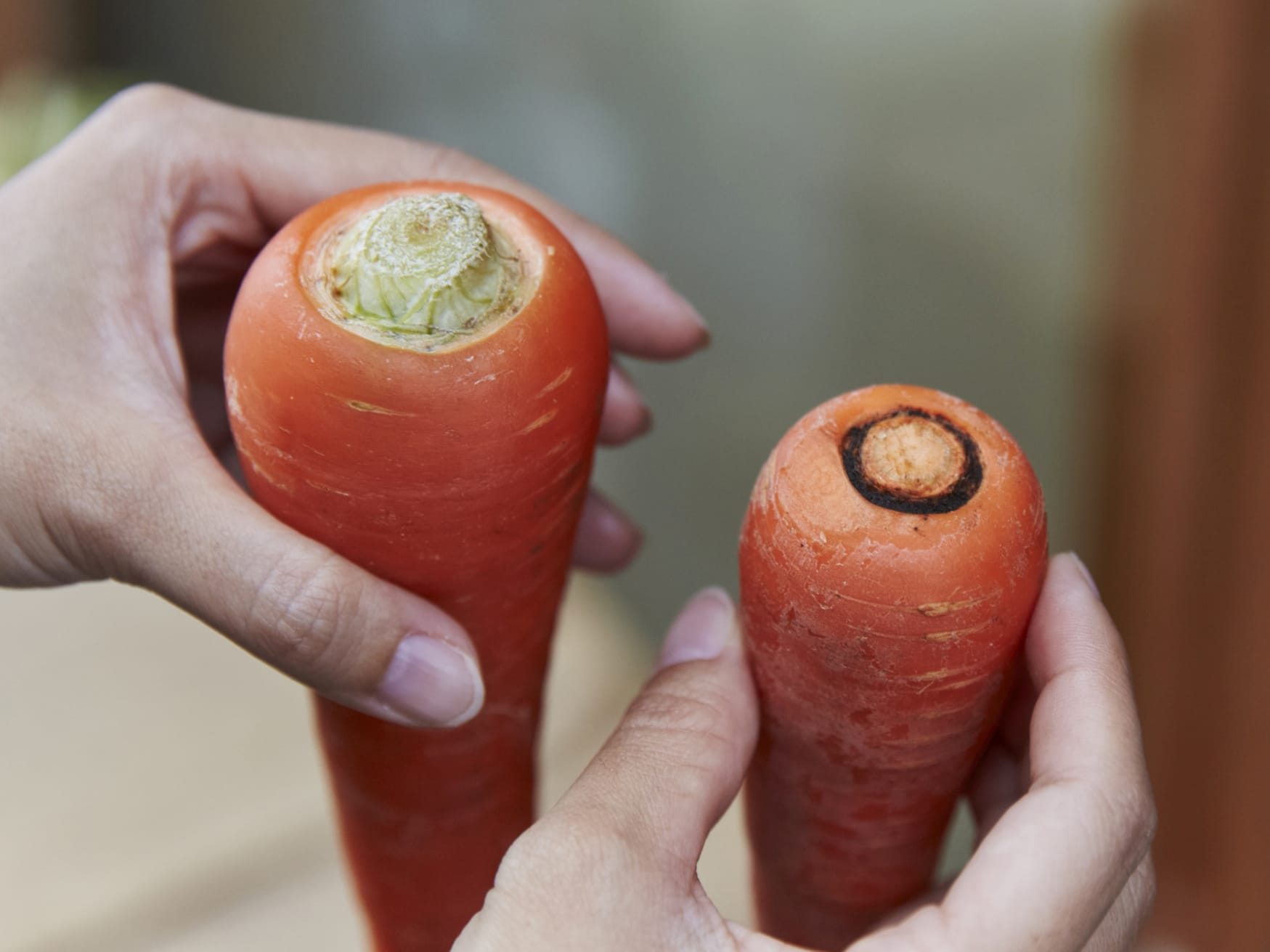 にんじんのカロリー グラムのわかる写真館簡単！栄養andカロリー計算