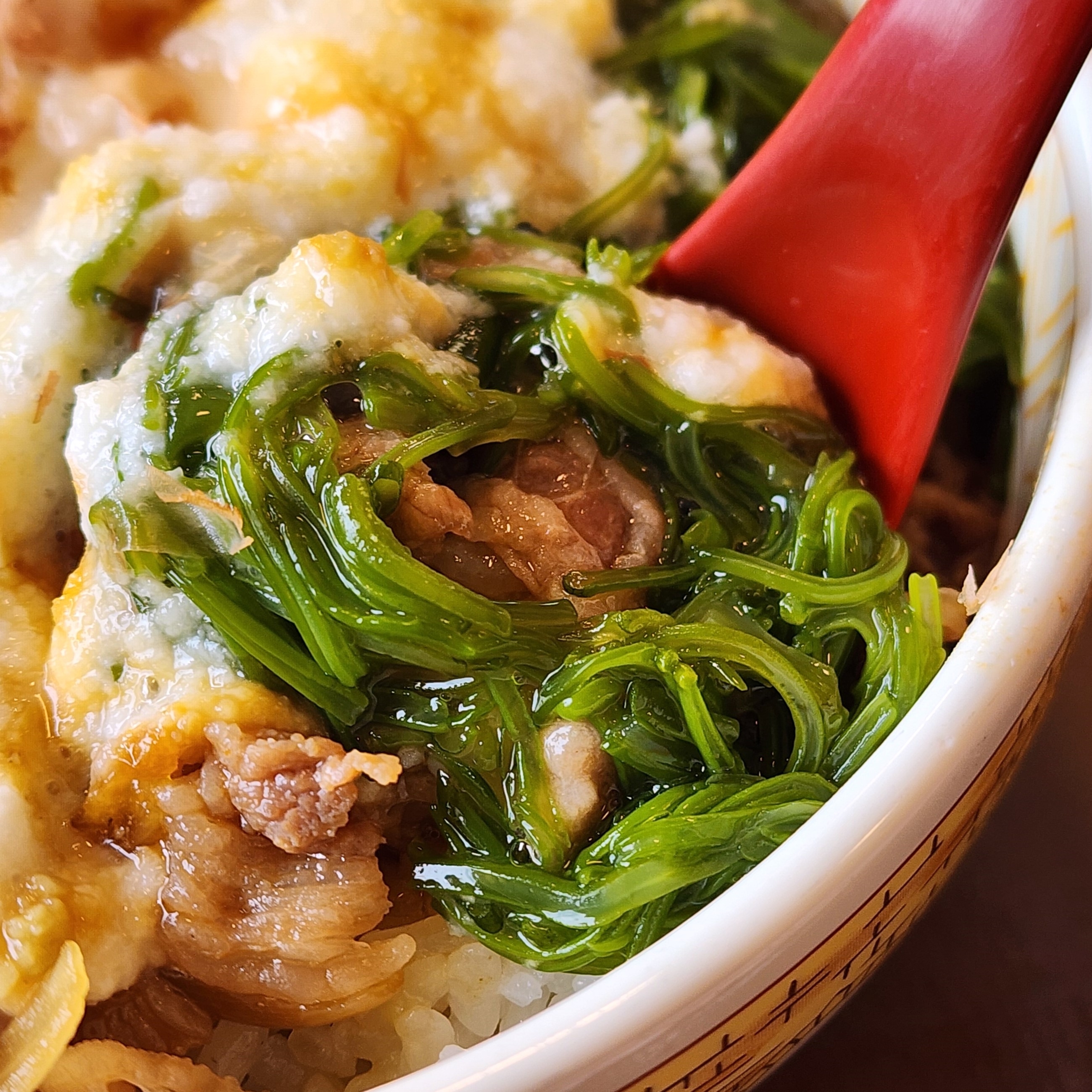 すき家 山かけめかぶオクラ牛丼 特盛 - 腹ペコ隊が行く!!大盛り、特盛り、てんこ盛り