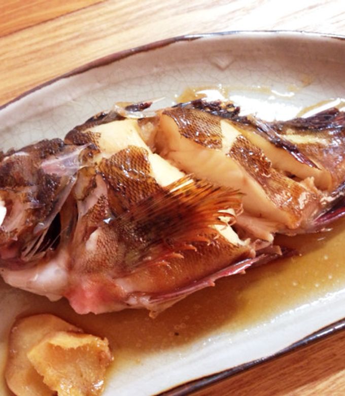 カサゴ ガシラ の煮付けCrazy Fishing