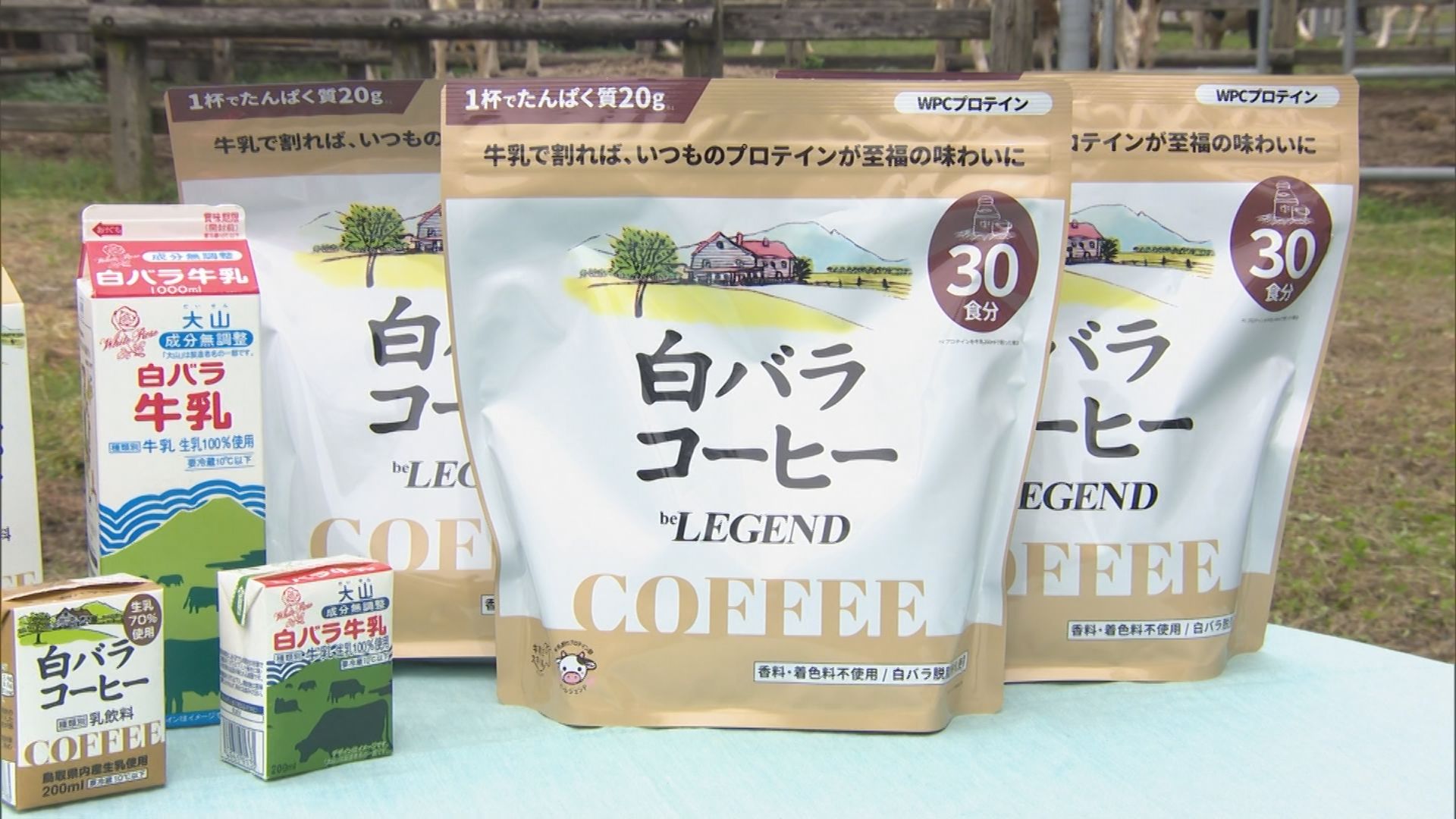 ストローもさせます ”白バラ”ビッグクッションがヴィレヴァンオンラインに登場‼株式会社ヴィレッジヴァンガードコーポレーションのプレスリリース