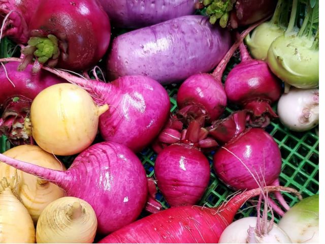 カラフル野菜の小山農園 小山清美@kiyomisa0622· Instagram photos and videos