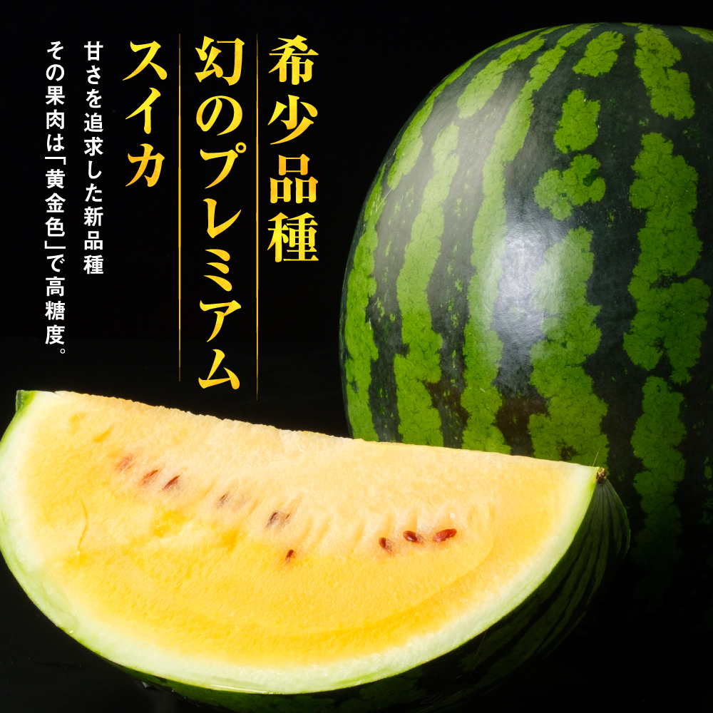 匠の塩飴 スイカ味内容量：750g Green Cross