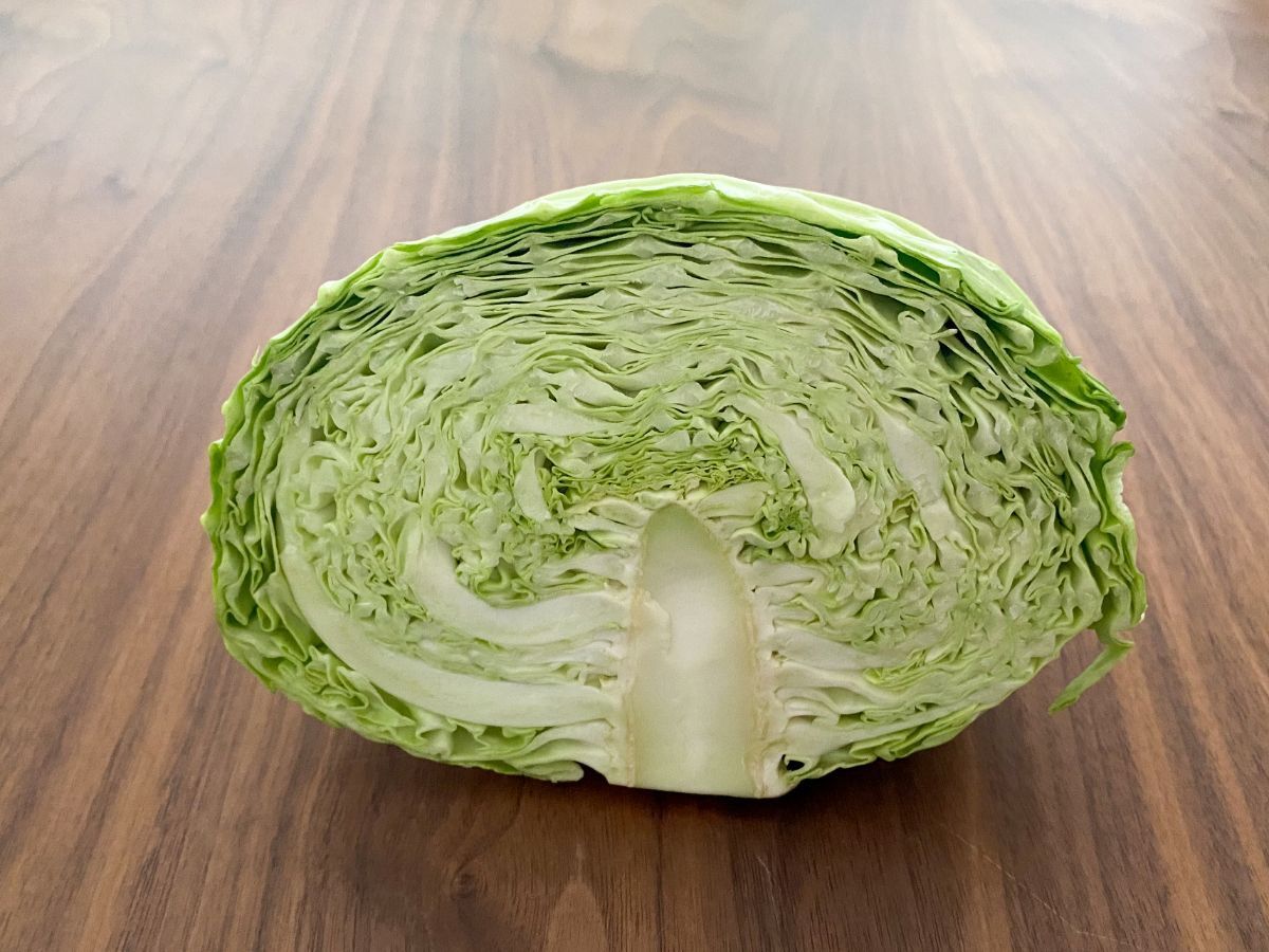 おいしいキャベツ」を選ぶ4つのポイント。長もちさせる保存のコツも要チェックESSEonline エッセ オンライン
