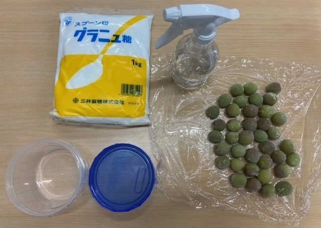 梅シロップ てんさい糖 ジップロックTikTok