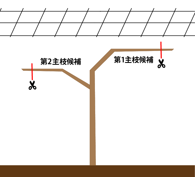 都留市版 ブドウ栽培マニュアル