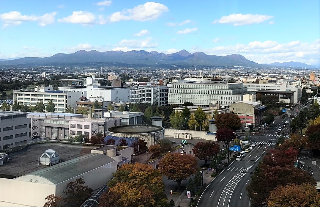 ホテル グランビュー高崎 【子連れ宿泊記ブログ】