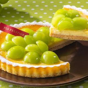 焼プリンタルト 30g×10給食用食品・業務用食品通販オンラインショップ「食材Net」