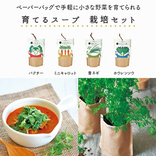6個セット ミニキャロット 家庭菜園 キッチン 自家栽培 育てるスープ GD-79502 種 土