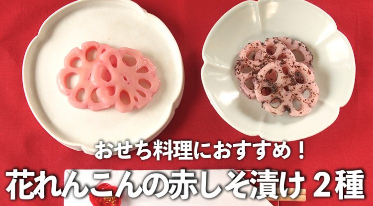 おせちのれんこんの飾り切り 花れんこん を簡単に作る方法