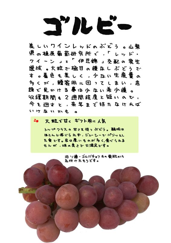 悟紅玉 旧ゴルビーぶどう 葡萄 ブドウ品種の特徴 食べ方 選び方