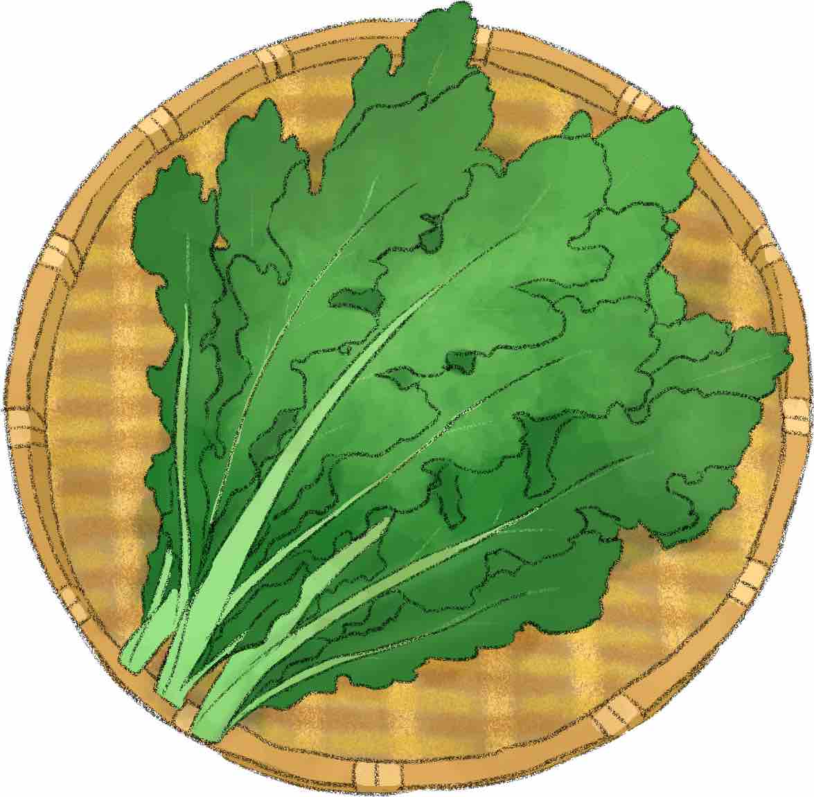 青瓜の人気レシピ・作り方 - 楽天レシピ