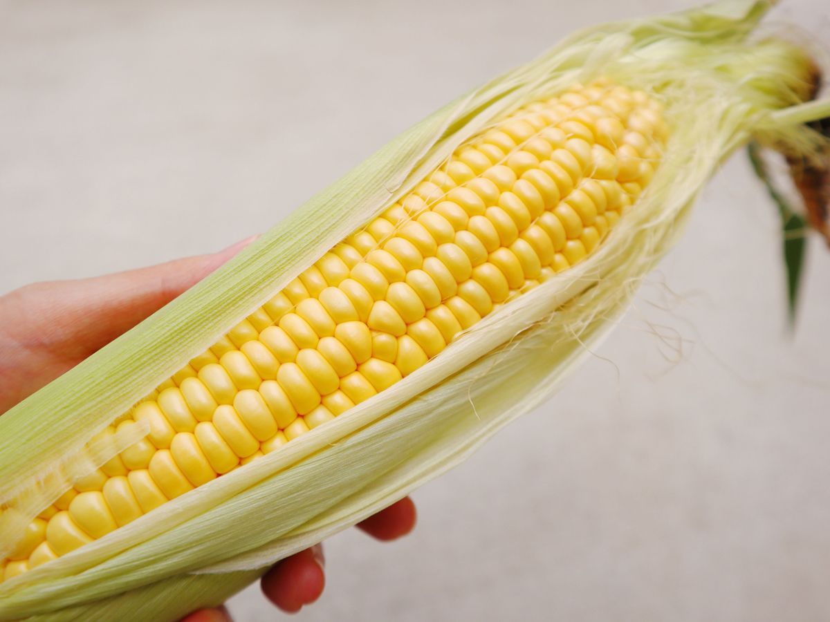 スーパーアキダイ 秋葉社長に聞く!「おいしいトウモロコシの見分け方」を実践!毛深い黒髭が買い⁉『あたらしい日日』 こんな時代の ニューノーマルな暮らし方。食と農、生活情報をお届けします