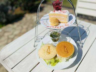 店名菓子工房セ・ラ・ヴィ 土気店 場所千葉県千葉市緑区あすみが丘１丁目２０−１ 営業⏰ 9:00〜19:00 定休日不定休 駐車場 あすみが丘バーズモール 座席なし テイクアウト専門電話☎︎043-205-8411 予約📃可能 支払💰 現金、クレジットカードInstagram☞@kashikoubou.cestlavie \\ ベストセラー商品が勢ぞろい