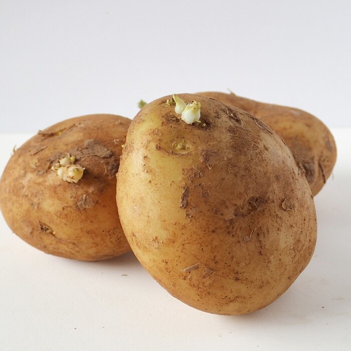 芽が出たじゃが芋「食べられる」or「食べられない」？栄養士が詳しく解説 栄養士食堂- エキスパート - Yahoo!ニュース