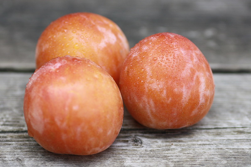 果実・木の実モチーフの女の子の名前 杏、桃、柚子、梨などをモチーフにした可愛らしい女の子の名前を集めました。 ・ Girls' names basedon fruits and nuts ・名付けポン名付け名前名前付け可愛い名前かわいい名前珍しい名前古風な名前漢字命名