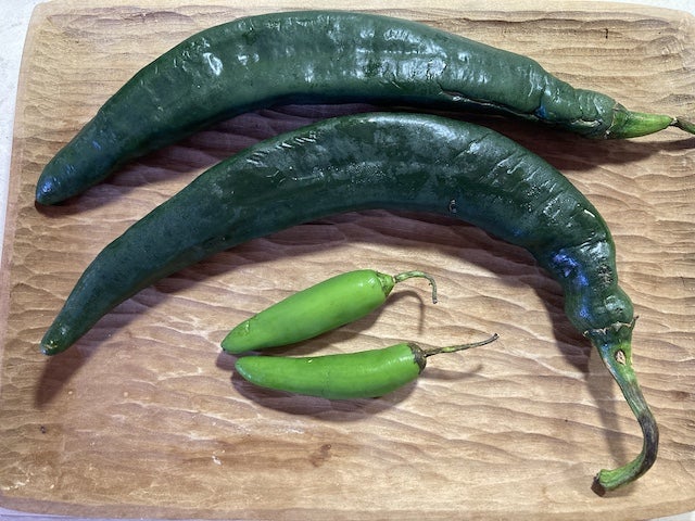 メキシコレストラン TORTACOS - 辛いだけじゃない！“出汁の文化”を味わえるスーパーメキシコ料理 熊本 慶徳校前 TORTACOSレポハピ