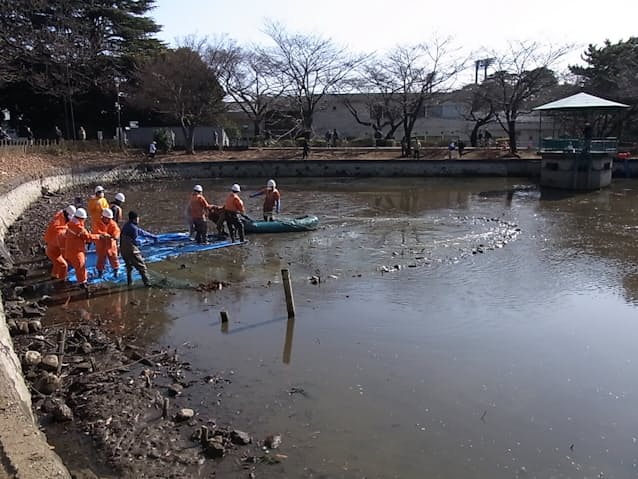 楽天市場】鹿沼土 粉抜きの通販