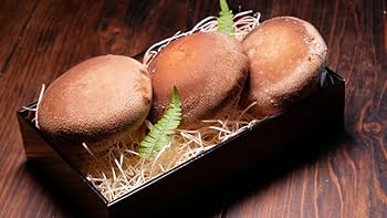 腐ったしいたけを見分けるポイントと、長持ちする保存の仕方ヨムーノ