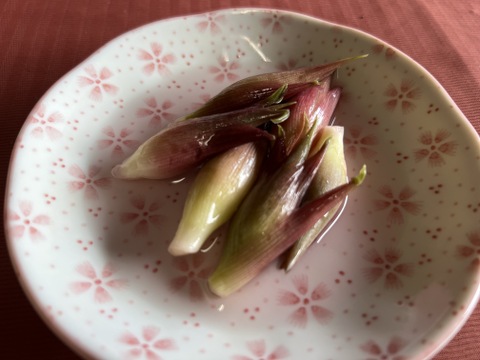 漬物3点セット きゅうりの醤油漬け200g・みょうがの甘酢漬け100g・きゅうり1漬け3本群馬県東吾妻町産：群馬県産の野菜食べチョク産地直送 産直 お取り寄せ通販 - 農家・漁師から旬の食材を直送