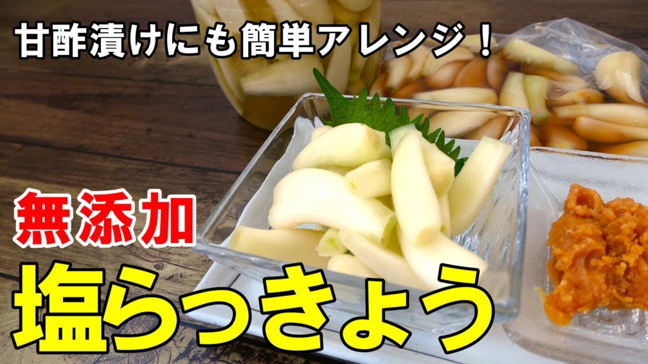 とにかく漬ける山崎 らっきょうを自宅で漬けてみた＃2 ～発酵食「塩らっきょう」の漬け方！ 塩漬けと塩水漬けの違いも～食のWebメディア weeeat