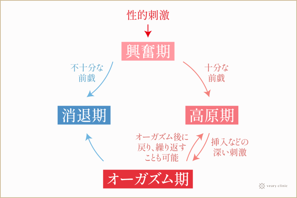 科学的に理想のクリトリス刺激方法６選【研究】