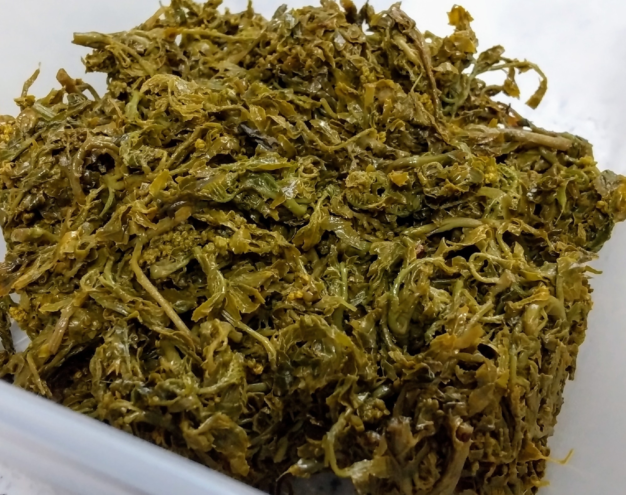 木の芽時のたのしみ！「山椒の葉と鰹節のあっさり佃煮」丸ごと小泉武夫 食マガジン