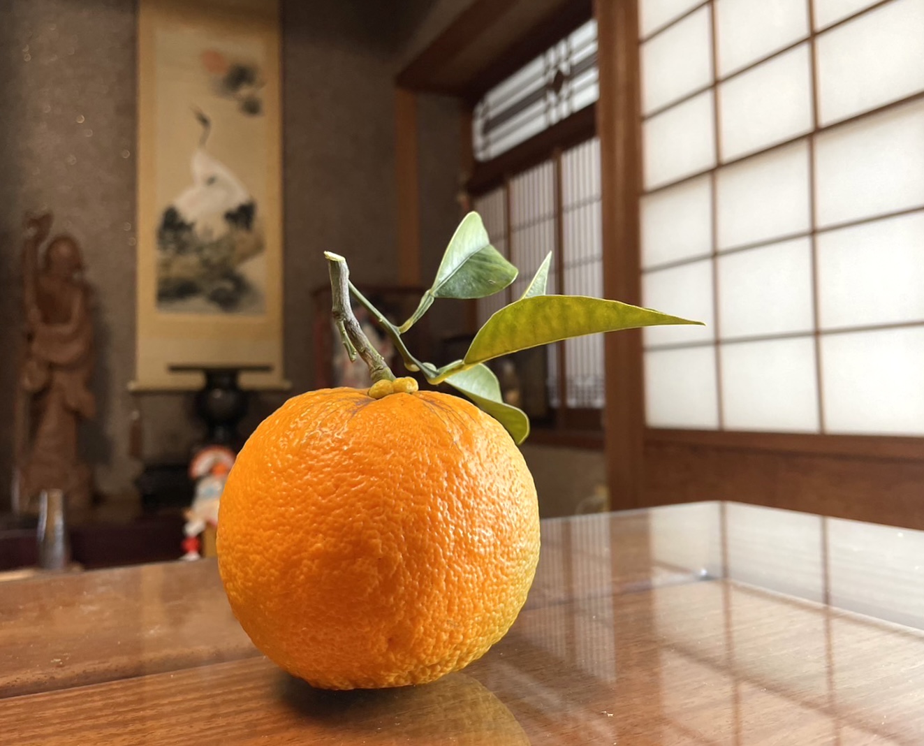 基本からアレンジまで！思わずつくりたくなる「干し柿 お正月」のレシピ集クックパッド