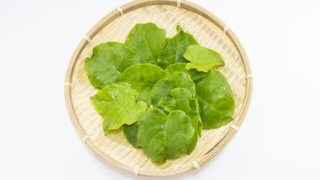 簡単！お手軽！楽わざレシピ52 パクチーの代わりにみつば！「みつばのエスニックチャーハン」ドリップまとめOITA Drip.オオイタドリップ大分県下最大級の総合情報サイト