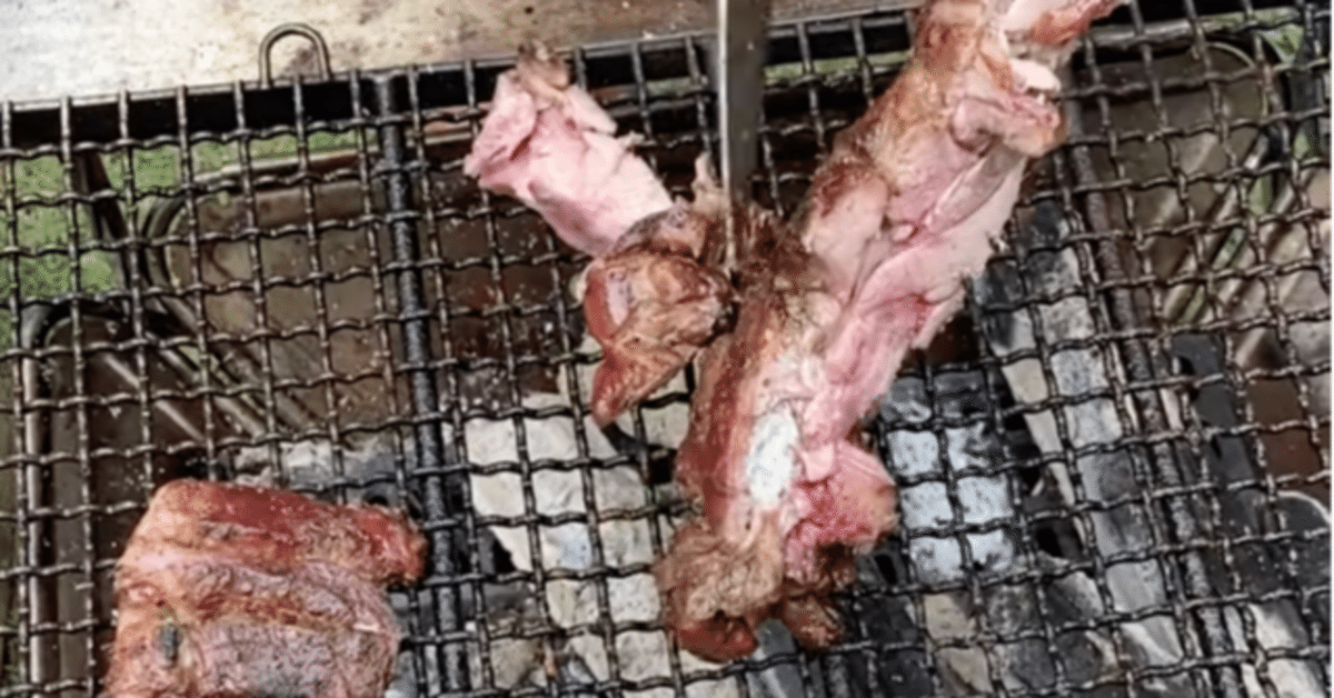 キョンの背肉のロースト 緑粒胡椒のソースフランス料理 ルクール ル・クール 千葉市 千葉グルメキョンいすみ市産ジビエ コンソメ 緑粒胡椒ソースcuisine françaisemacuisinemafaçonスタッフ募集なんかなしいすみ市産のキョンの背肉を骨付きで優しく