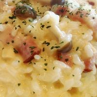 残りご飯を美味しくリメイクする方法2025 年のリアルなLemon8ユーザー体験