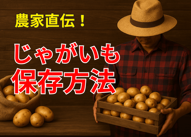 プロに教わる、失敗しないジャガイモの育て方 ～大きく育てるコツを紹介します～マイナビ農業