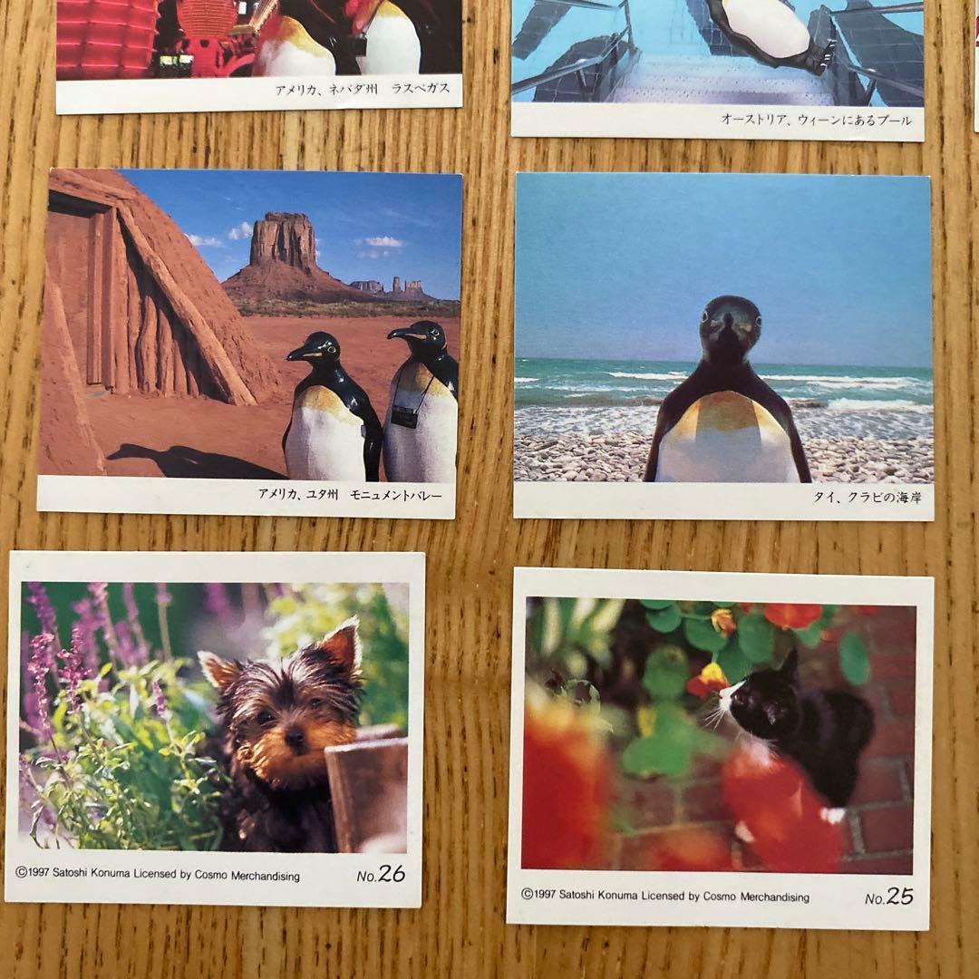 2025年最新 Yahoo!オークション -ハイソフト カード 森永の中古品・新品・未使用品一覧